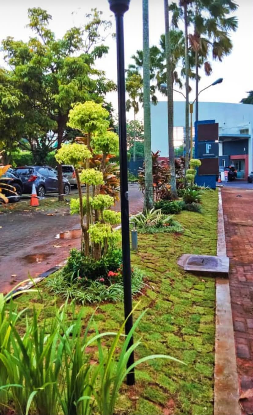 Galeri 1