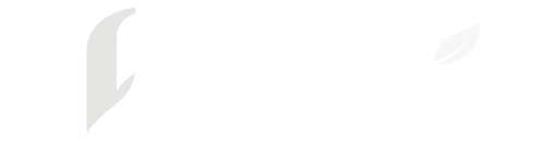 Logo Offcanvas